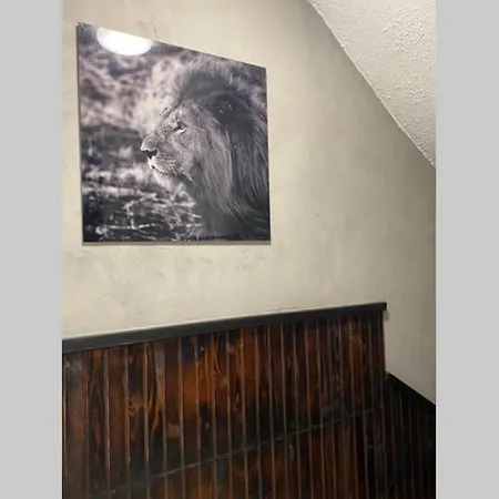 Maison De Ville Cosy Διαμέρισμα Λιλ